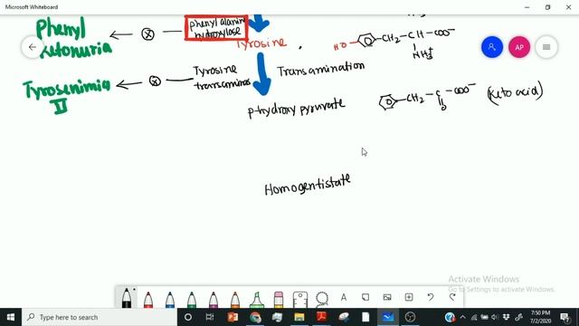 Tyrosine metabolism and related disorders ( Phenyl ketonuria, Alkaptonuria and Tyrosenimia) смотреть онлайн