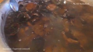 Как приготовить чёрный груздь