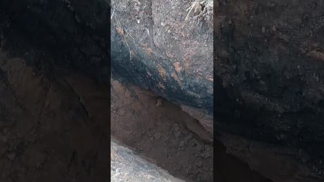 Горизонтальное прокалывание грунта