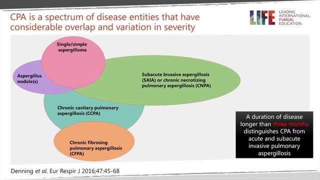 Chronic pulmonary aspergillosis: global burden and diagnosis