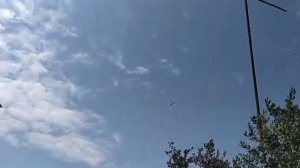 Соревнование голубей  Баку! Голуби Мехмана в Ленкорани!