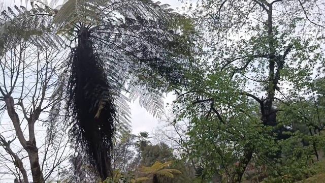 Field visit to Godawari botanical garden // medicinal and aromatic plants // Pratima mam смотреть онлайн