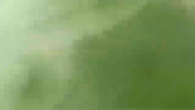 Грибы, грибы, грибы 08 08 22 movie смотреть онлайн