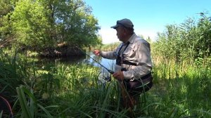 В пошуках перспективних місць на річці. Краснопер на спінінг Crazy Fish Alpha 662XULS