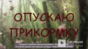 ПРИВАЖИВАЮ РЫБУ