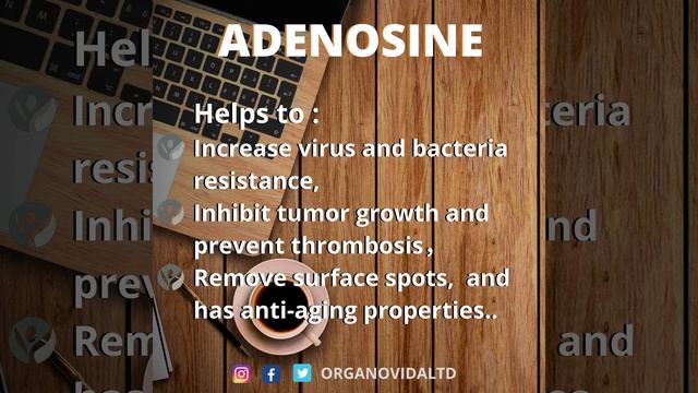 Cordyceps Militaris Coffee: your energy booster смотреть онлайн