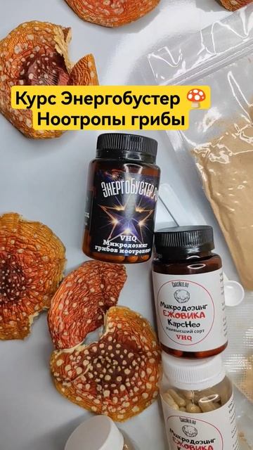 Курс Энергобустер 🍄Ноотропы грибы #мухомор #микродозинг #микродозингмухомора #ежовик