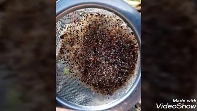 Бурение скважин на воду смотреть онлайн