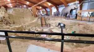 Раскопки мамонтов.