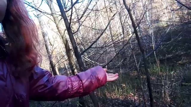 Я в лесу.Пошли за грибами.много деревьяв там упало.загогулинки. смотреть онлайн