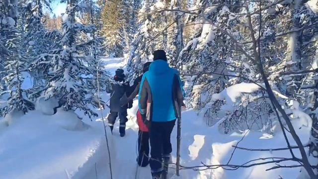 Как снять красивое видео на природе смотреть онлайн