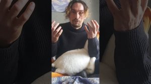 СМЕРТЕЛЬНЫЙ МУХОМОР. ТРИП РЕПОРТ.
