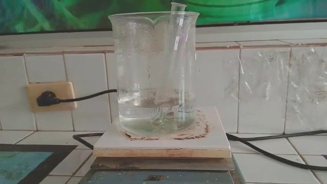 PRODUKSI ENZIM α-AMILASE DARI Bacillus subtilis dan ENZIM SELULASE DARI Aspergillus niger смотреть онлайн