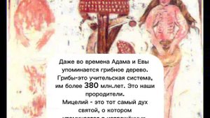 Грибы - Психоделики. Встреча с Творцом . чистка от ДЕМОНОВ