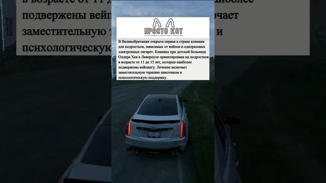 ПРОСТО КОТ ▷ КОРОТКИЕ НОВОСТИ №9