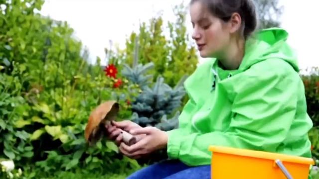 Будни Фермера смотреть онлайн