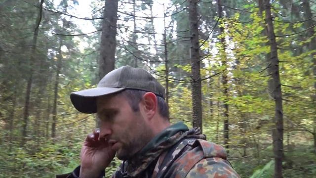 На старой лесной дороге. В поисках старины. смотреть онлайн