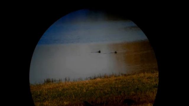 ZNIEFF смотреть онлайн