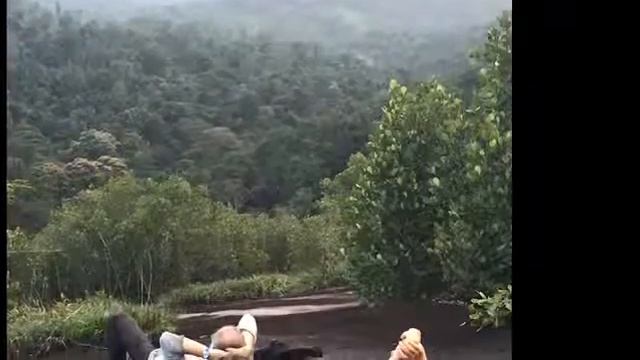 Mat Fisher - A plague on frogs смотреть онлайн