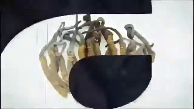 Состав ELEV8 ACCELER8 BEPIC смотреть онлайн