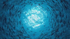 #012 Liquid Love (Vocal Liquid Drum & Bass Mix)