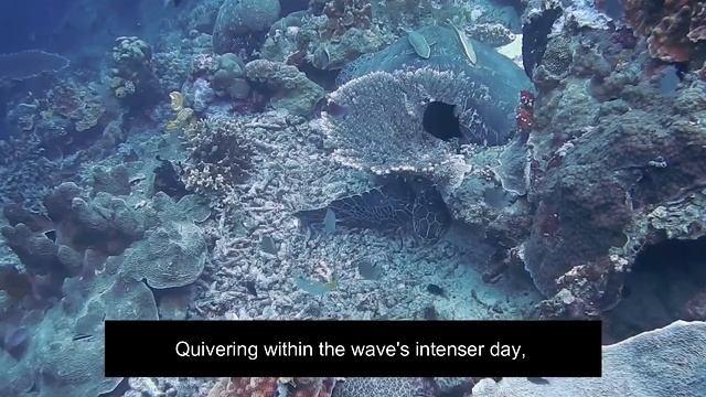 Ode to the West Wind смотреть онлайн