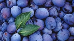 Слива на зиму. Маринкины творинки. Всем МИРА и Добра!