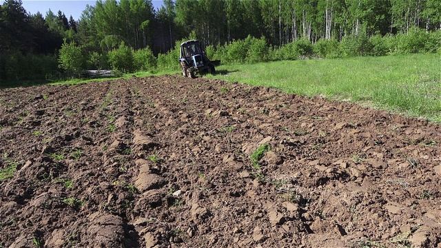 Странные круги на поле