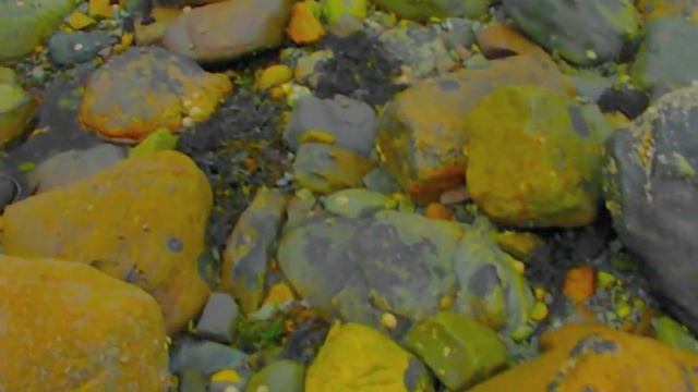 Space Lichens - Egocidal Tendencies смотреть онлайн