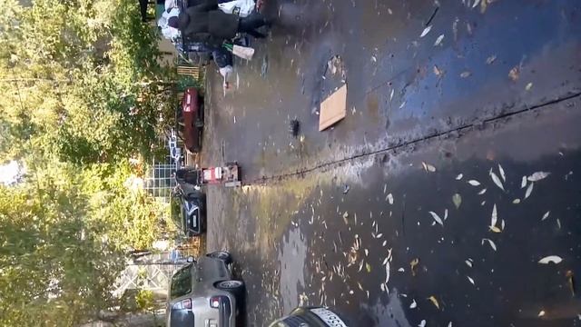 Шовнарезом как надо работать. смотреть онлайн