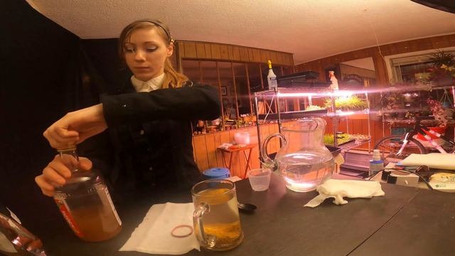 How to Sanitize Fenugreek Microgreen Seeds смотреть онлайн