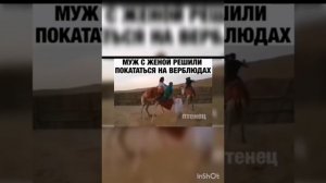 Верблюд схватил за голову марш бросок 🙈