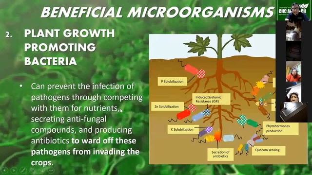 PLANT DOCTOR ACTIVATOR FARMER'S FRIEND MAXIGROW chc agritech смотреть онлайн