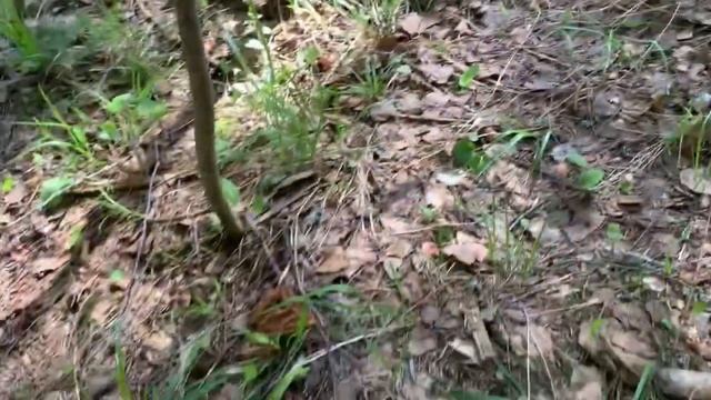 Миллион дел/ Квасок смотреть онлайн