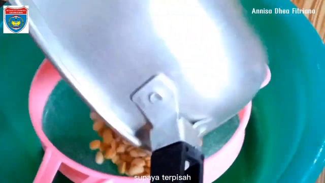 Pembuatan Tempe|| memenuhi tugas dalam materi bioproses 🙌 смотреть онлайн