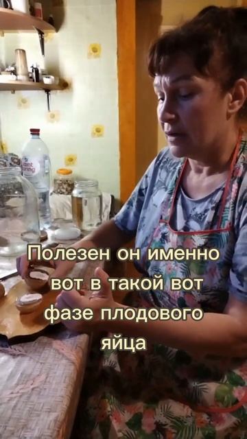 Гриб, перед которым пасуют вирусы, язва и даже рак смотреть онлайн