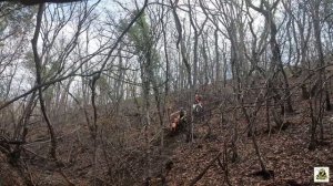 Малая часть трека гонки "Безумка -2" 2024