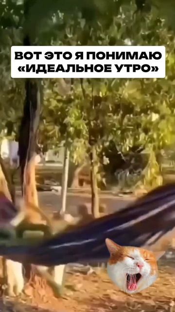 ИДЕАЛЬНОЕ УТРО смотреть онлайн