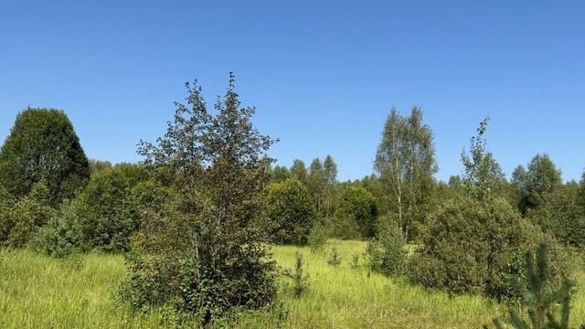 Концово