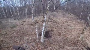 Приехал на давно разобранную ветку УЖД