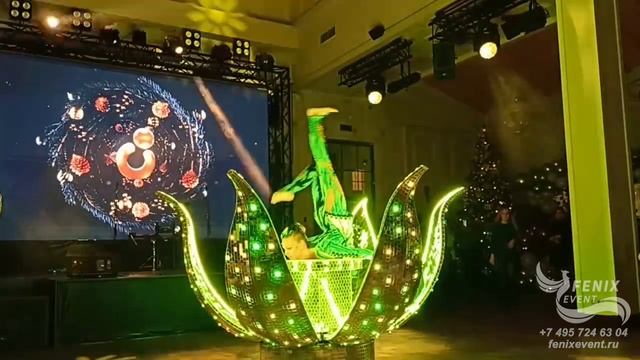 Девушка и зеркальный цветок на праздник, свадьбу и корпоратив в Москве - оригинальное шоу на юбилей