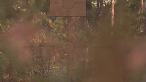 охота на лося на вабу