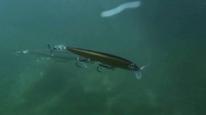 Rapala Original vs Scatter Rap Minnow