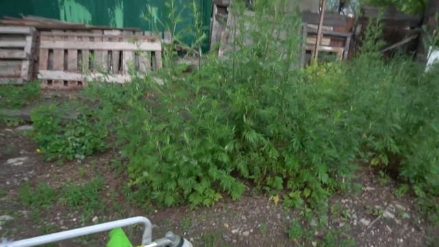 Триммер на колесах + насадка-культиватор. Тестируем бензиновые триммер REDVERG RD-GB252W смотреть онлайн