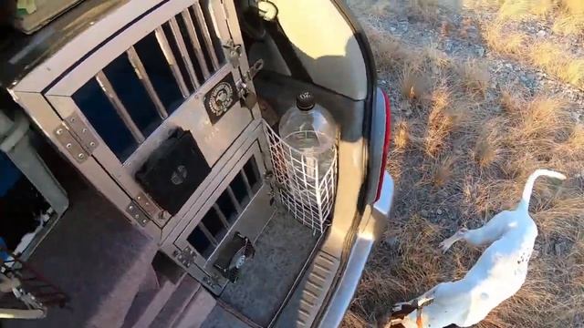 ELHEW POINTER　今年初めての野外運動です。 смотреть онлайн