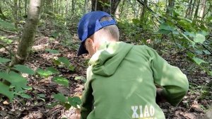 Приключения Даника в деревне