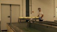 Історія про корисний та натуральний сир "Мукко"