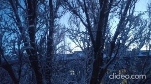 Все краски января 2024 г.