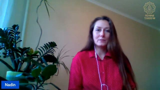 Целительная сила грибов смотреть онлайн