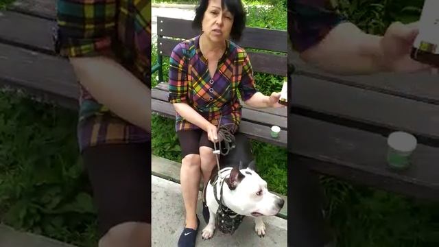 Животные благодарят своих хозяев за продукцию #Биозан #впередроссия #паразиклин #шапмунь #антипараз смотреть онлайн